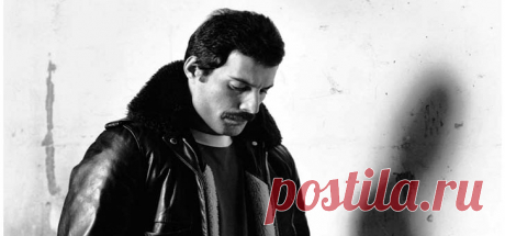 24 года без Freddie (Фредди)
