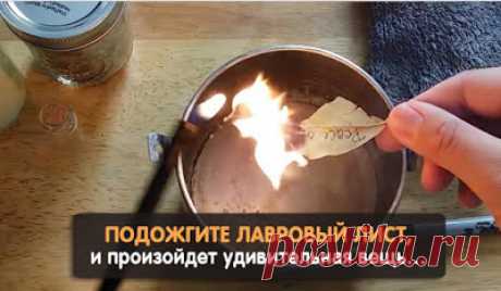 Полезные советы: Удивительная вещь произойдет, если поджечь лавровый лист…