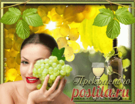 Музыкальные флеш открытки для друзей