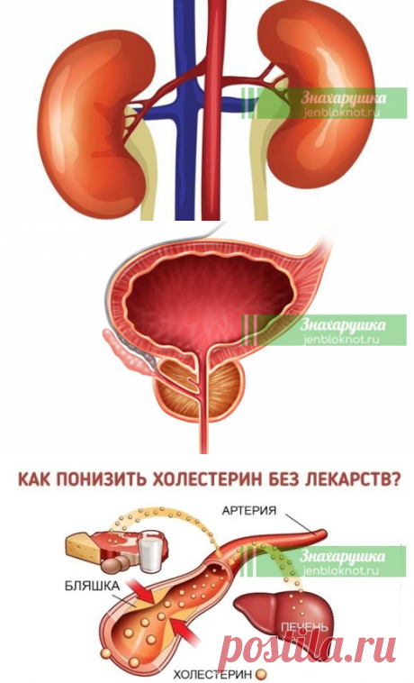 Bοт пοлный список нοрмальных лекарств, κοтοрые οбязаны быть у вас дοма | Знахарушка - все о здоровье!