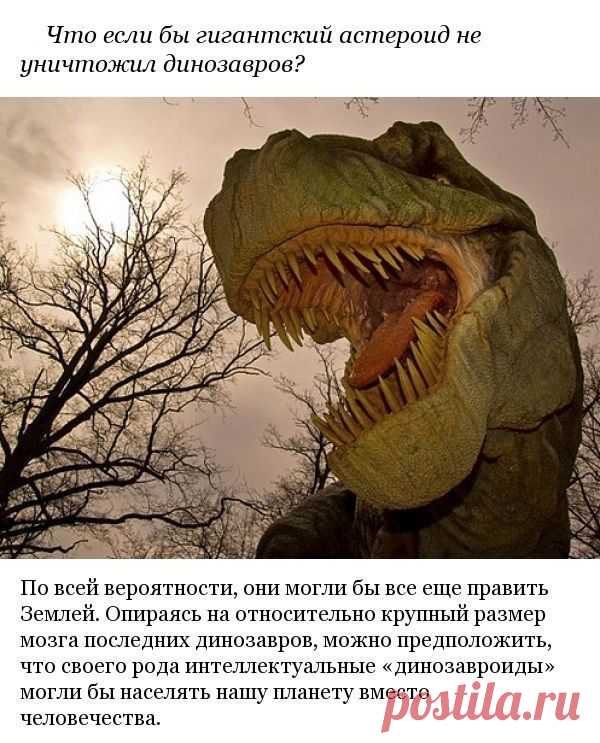 А что, если?.. 10 ответов на самые интригующие вопросы