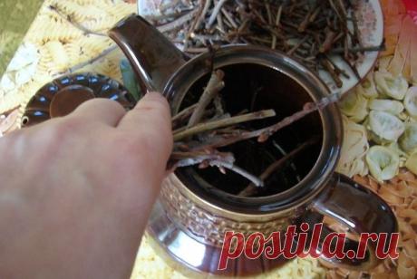 Завариваем чай из собственного сада. Такие полезные веточки!