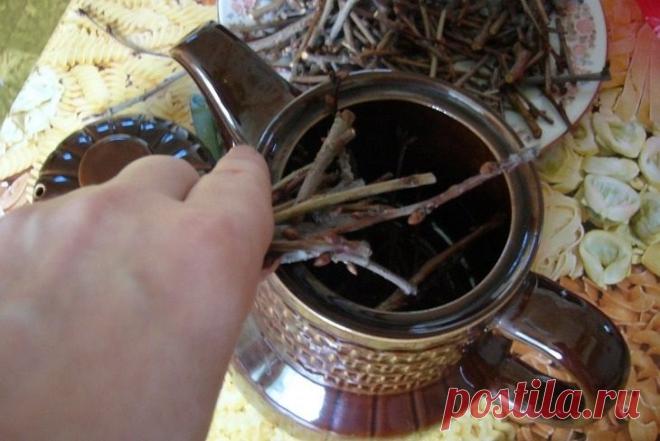 Завариваем чай из собственного сада. Такие полезные веточки!
