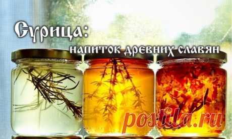 СУРИЦА — НЕОБЫКНОВЕННЫЙ НАПИТОК, КОТОРЫЙ ГОТОВИЛИ НАШИ ПРЕДКИ!