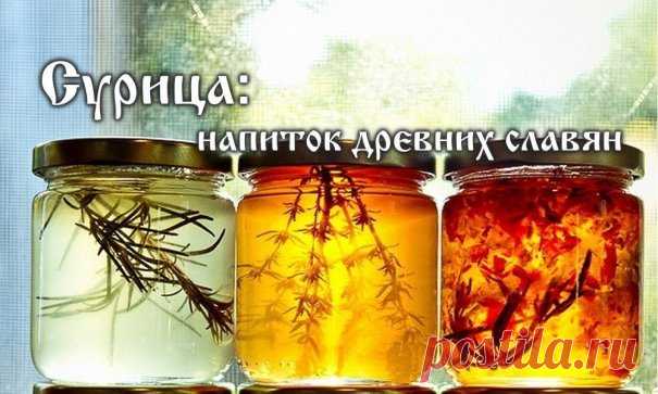 СУРИЦА — НЕОБЫКНОВЕННЫЙ НАПИТОК, КОТОРЫЙ ГОТОВИЛИ НАШИ ПРЕДКИ!
