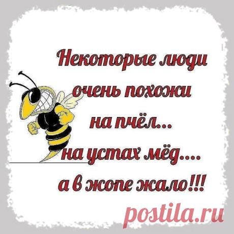 (1) Одноклассники