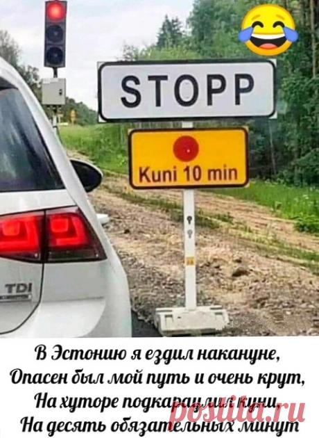 Куни за 10 минут