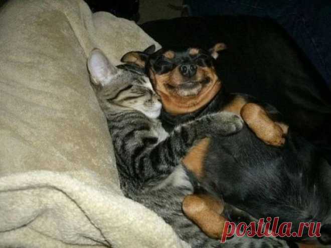 Кайфушечки