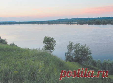 Ночная ловля судака  

Слышал, что судака ловят ночью на перекатах, и долгие годы такая ловля была для меня загадкой. Надо сказать, что никакого стремления я не предпринимал, и этому были причины. Были перекаты без судак…