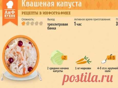 Сколько надо класть соли при квашении капусты?