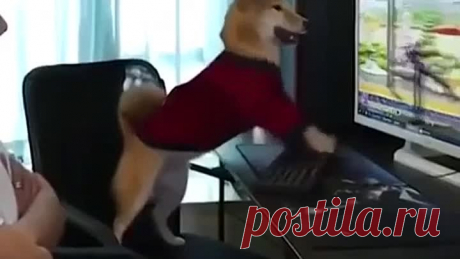 Игроман. Это уже зависимость! Психанул 🙈