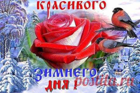 ====== ДОБРОГО ДНЯ! ======