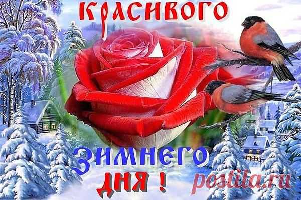 ====== ДОБРОГО ДНЯ! ======