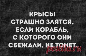 Лента новостей