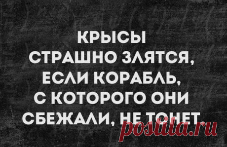 Лента новостей