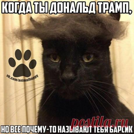 Интересные новости
