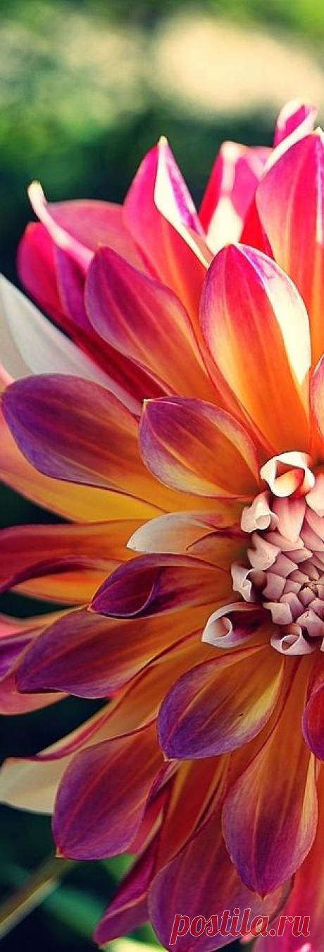 Pinterest: инструмент для поиска и хранения интересных идей