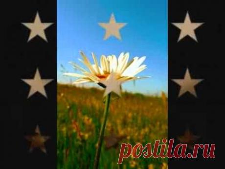 Для друзей, для друзей нет расстояний впереди - YouTube