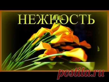 8  - Душевная Пауза  /  Office Break Lounge