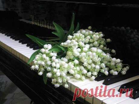 Популярное – Google+