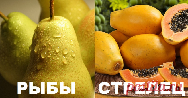 Фрукт по знаку зодиака - Копилка идей