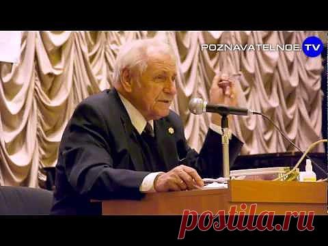 Бумажный пакет - бесплатное снотворное