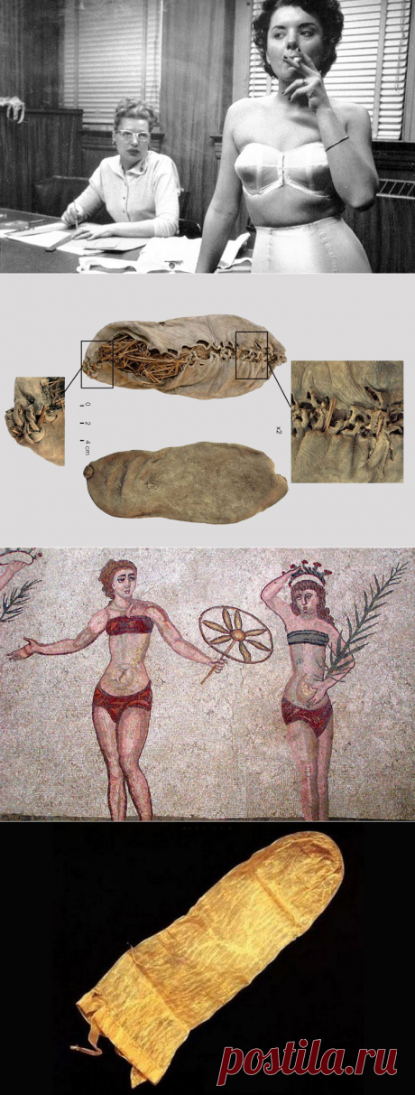 Гости из прошлого / Моя Планета