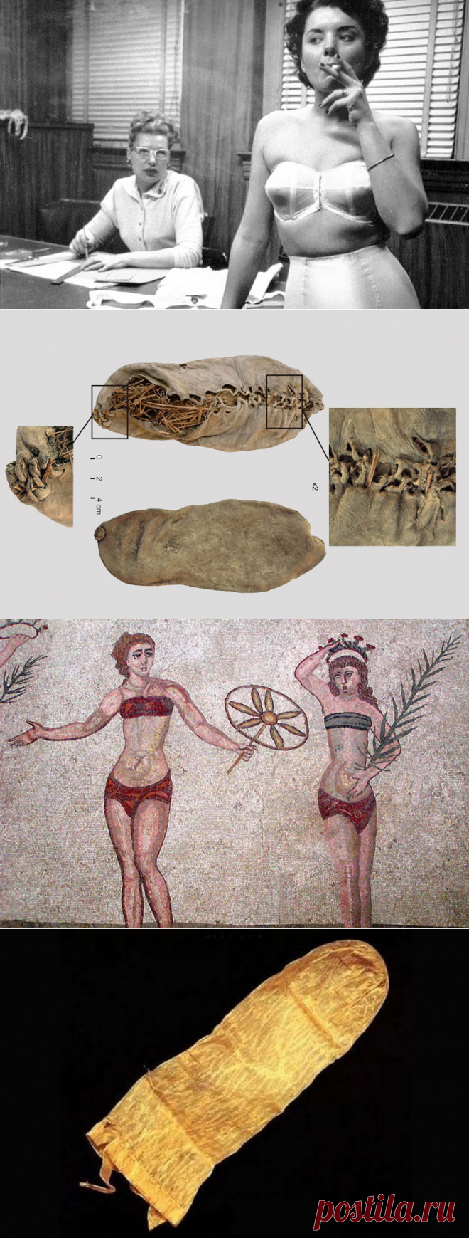 Гости из прошлого / Моя Планета