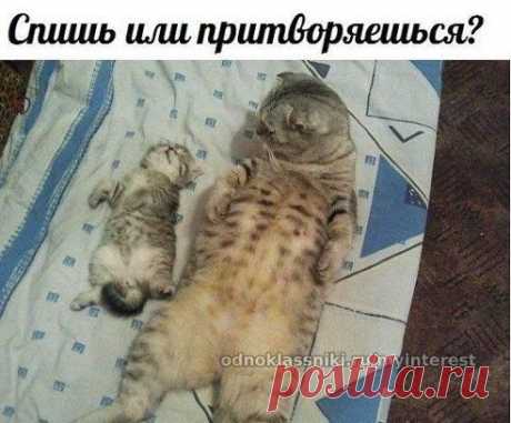 Вечная проблема родителей))