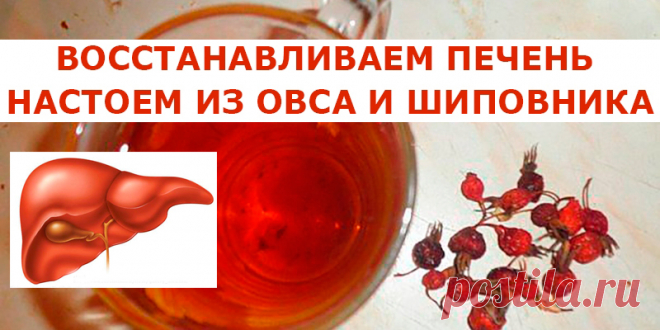 ВОССТАНАВЛИВАЕМ ПЕЧЕНЬ НАСТОЕМ ИЗ ОВСА И ШИПОВНИКА | Полезные советы