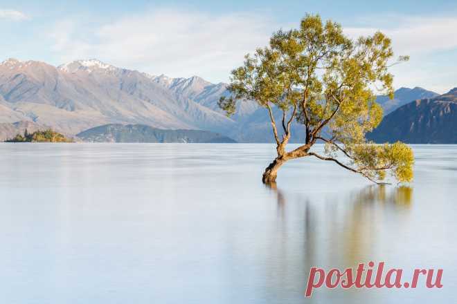 Lone Tree on Lake Wanaka by Loïc Lagarde / 500px