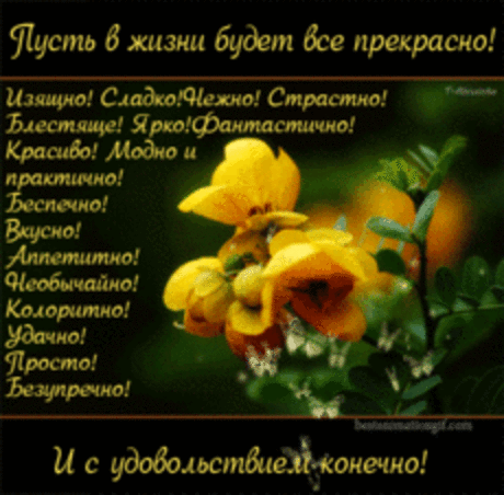 Пусть в жизни будет всё отлично !