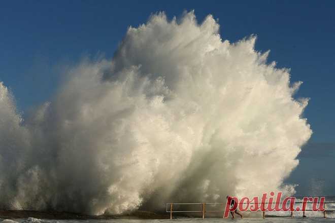 Лучшие фотографии 2013 года по версии агентства Getty Images | Webpark.ru