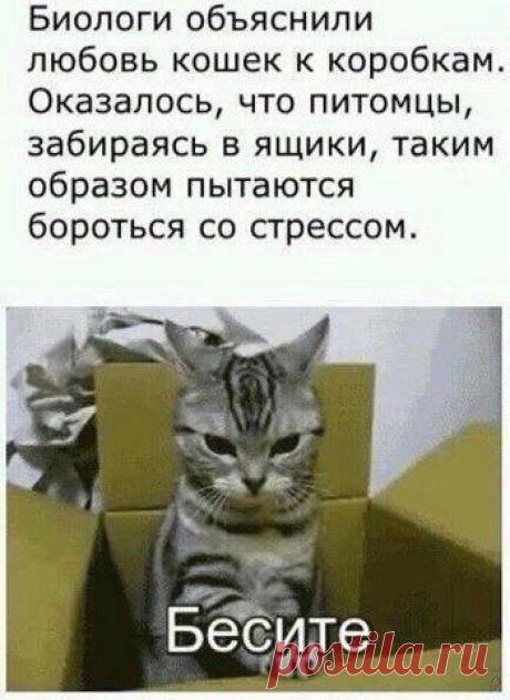 Интересные новости