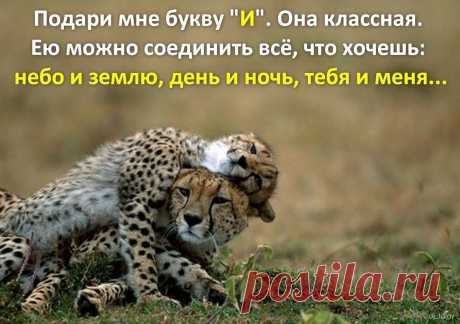 Афоторизмы dj_talay'a