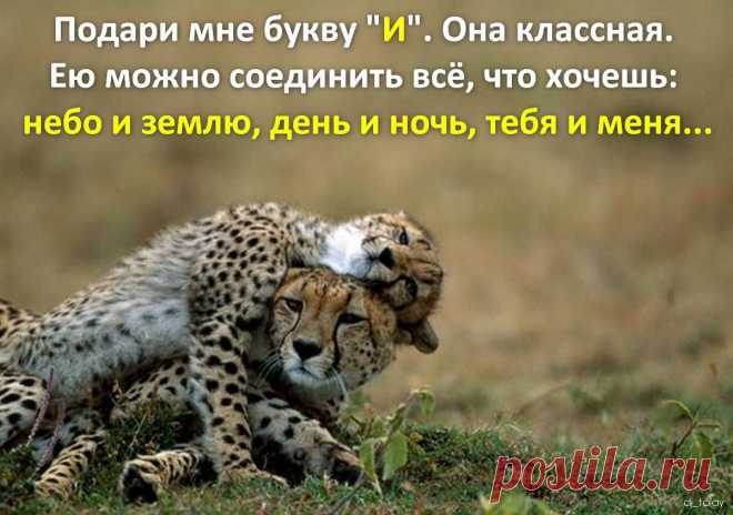Афоторизмы dj_talay'a