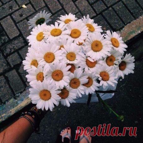 Sarafan | Fashion Club