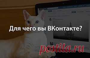 ТОП-30 самых полезных приложений во «ВКонтакте» - AIN.UA