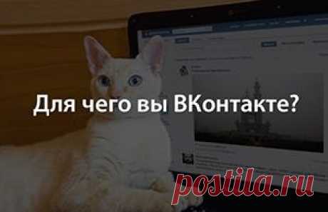 ТОП-30 самых полезных приложений во «ВКонтакте» - AIN.UA