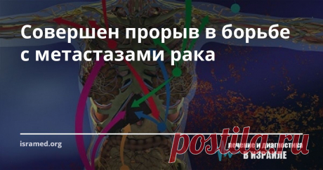 Совершен прорыв в борьбе с метастазами рака  ​​Новое исследование Тель-Авивского университета обнаружило изменения в здоровой легочной ткани, которые указывают на