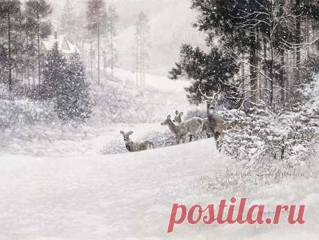 Художник Douglas R. Laird (Дуглас Лейрд). Часть 4.