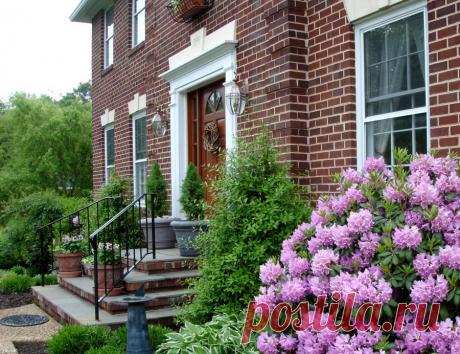 Декоративные растения 115 фото идей оформления сада и участка Портал о ландшафтном дизайне - обзор лучших дизайнерских идей и секретов по уходу за садом и дачей