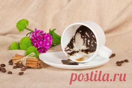 пустая кофейная чашка - картинки: 10 тыс изображений найдено в Яндекс.Картинках