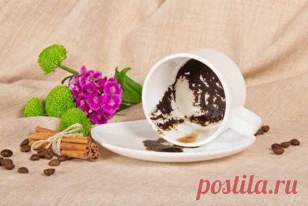 пустая кофейная чашка - картинки: 10 тыс изображений найдено в Яндекс.Картинках