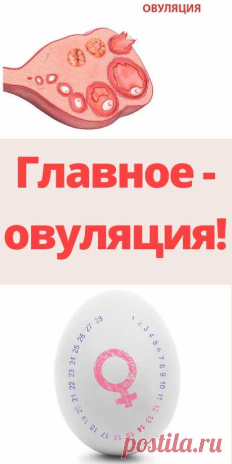 Главное - овуляция! - My izumrud
