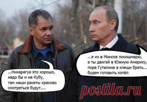 Владимир Путин. Новые приколы / Писец - приколы интернета