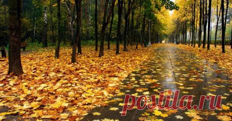 #ЛАДА. Женский журнал