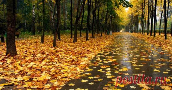 #ЛАДА. Женский журнал