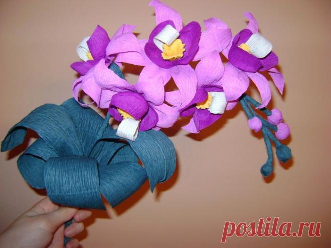 Орхидея из гофрированной бумаги. -класс..