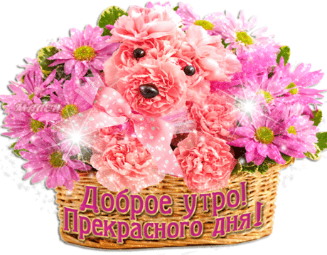 Картинки с пожеланием «Прекрасного утра!» (36 фото) ⭐ Забавник